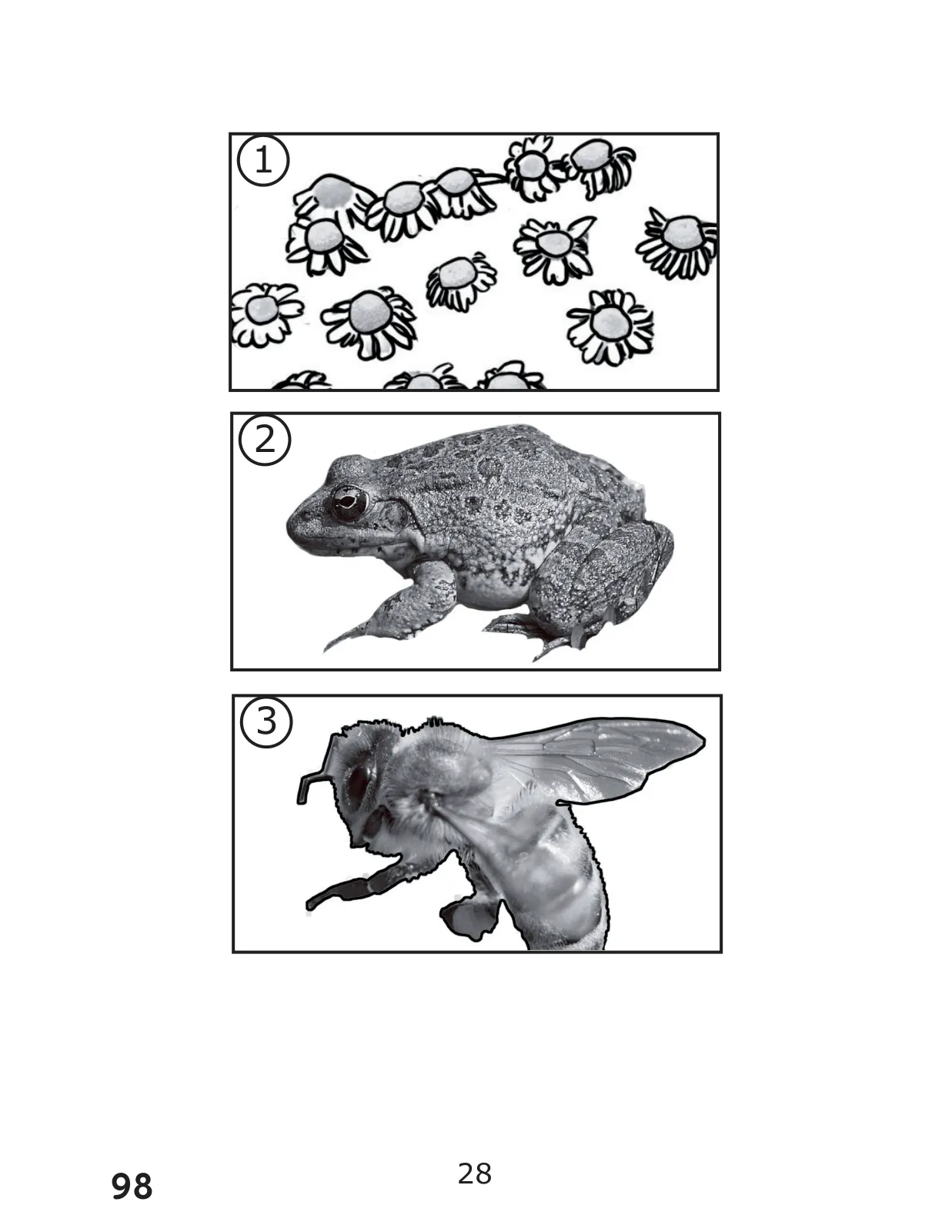 Miniatura página 98 de Libro de Ciencias Naturales – Quinto Básico | Texto del Estudiante MINEDUC – Descargar PDF · 2024