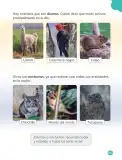Miniatura página 155 de Ciencias Naturales – Primero Básico | Texto del Estudiante (MINEDUC) – Descargar PDF · 2024