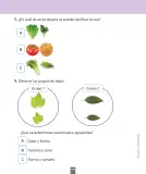 Miniatura página 184 de Ciencias Naturales – Primero Básico | Texto del Estudiante (MINEDUC) – Descargar PDF · 2024