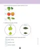 Miniatura página 184 de Ciencias Naturales – Primero Básico | Texto del Estudiante (MINEDUC) – Descargar PDF · 2024