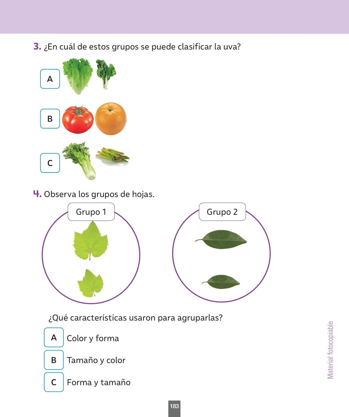 Miniatura página 184 de Ciencias Naturales – Primero Básico | Texto del Estudiante (MINEDUC) – Descargar PDF · 2024