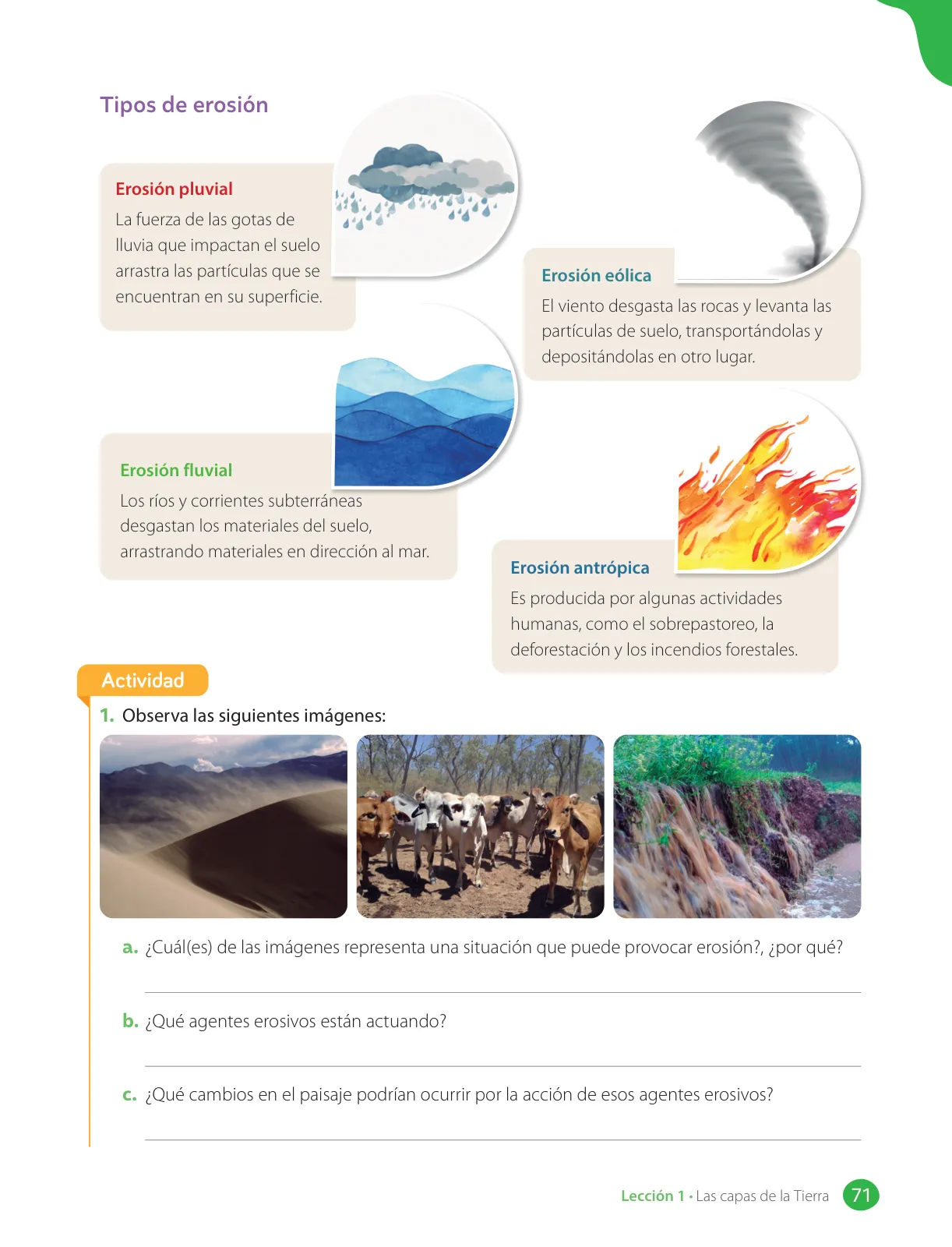 Página 73 de Libro de Ciencias Naturales – Quinto Básico | Texto del Estudiante MINEDUC – Descargar PDF · 2024