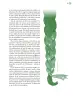 Miniatura página 126 de Crianza para la libertad. Libro para las familias. Fase 2  Libro de Educación Preescolar Grado 1°, 2°, 3°  Ciclo Escolar 2025 - 2026