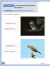 Miniatura página 83 de Ciencias Naturales – Primero Básico | Texto del Estudiante (MINEDUC) – Descargar PDF · 2024