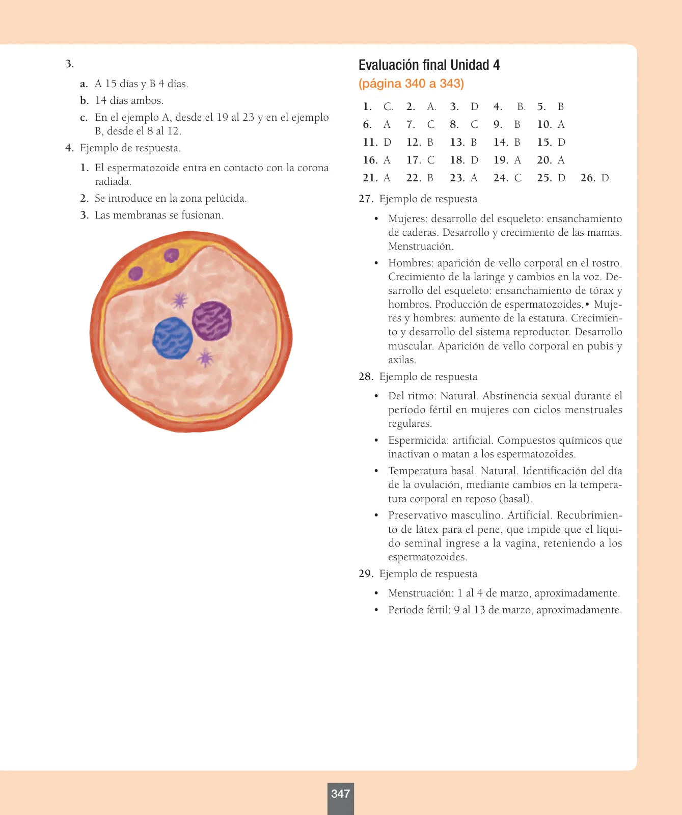 Miniatura página 172 de Ciencias Naturales – Séptimo Básico | Texto del Estudiante MINEDUC – Descargar PDF · 2024
