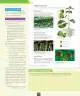 Miniatura página 107 de Ciencias Naturales – Octavo Básico | Texto del Estudiante MINEDUC – Descargar PDF · 2024