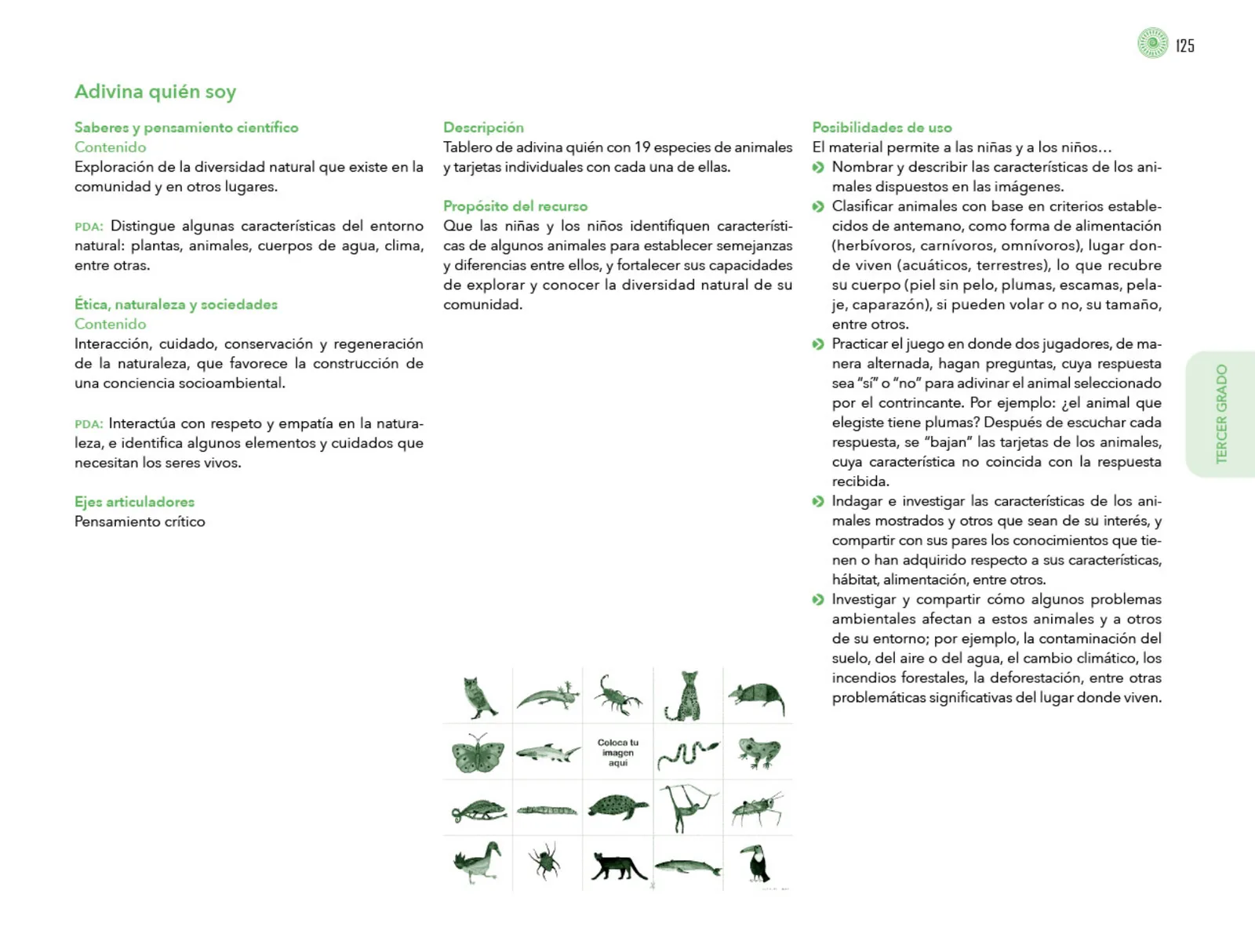 Miniatura página 126 de Posibilidades de trabajo para la acción transformadora y el codiseño. Ficheros. Fase 2  Libro de Educación Preescolar Grado 1°, 2°, 3°  Ciclo Escolar 2025 - 2026