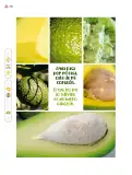 Miniatura página 101 de Múltiples lenguajes.   Libro de Educación Primaria Grado 4°  Ciclo Escolar 2025 - 2026
