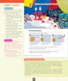 Miniatura página 33 de Ciencias Naturales – Séptimo Básico | Texto del Estudiante MINEDUC – Descargar PDF · 2024