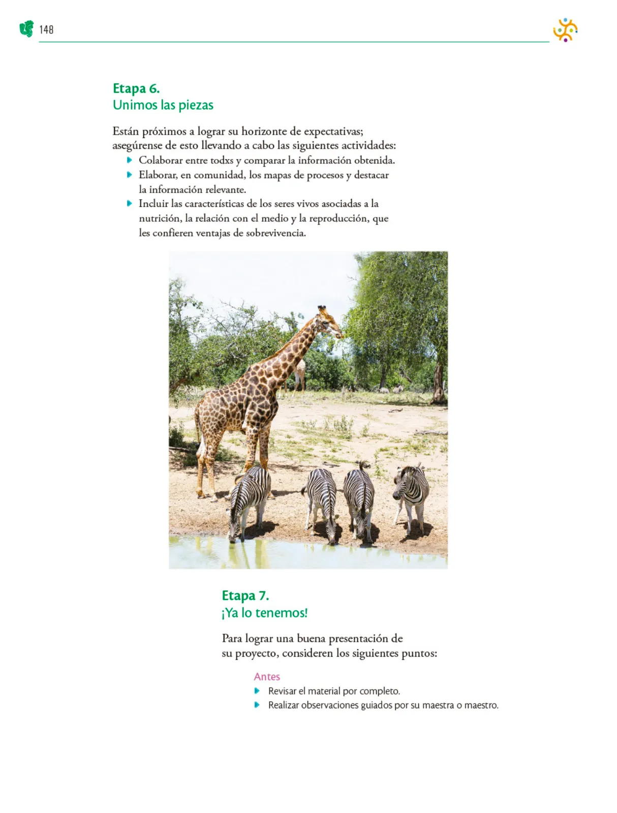Miniatura página 149 de Colección Ximhai. Nuestro libro de Proyectos.  Tomo III.  Libro de Educación Telesecundaria Grado 1°  Ciclo Escolar 2025 - 2026