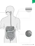 Miniatura página 108 de Ciencias Naturales – Séptimo Básico | Texto del Estudiante MINEDUC – Descargar PDF · 2024