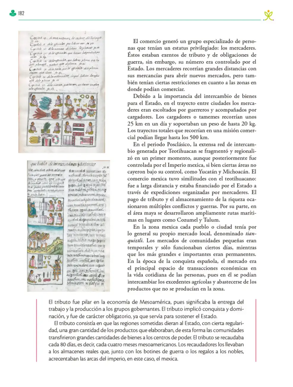 Página 183