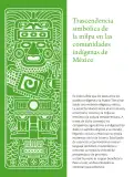 Miniatura página 146 de Colección Ximhai. Lenguajes.   Libro de Educación Secundaria Grado 1°  Ciclo Escolar 2025 - 2026