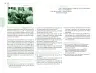 Miniatura página 173 de Posibilidades de trabajo para la acción transformadora y el codiseño. Ficheros. Fase 2  Libro de Educación Preescolar Grado 1°, 2°, 3°  Ciclo Escolar 2025 - 2026