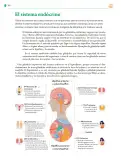 Miniatura página 305 de Colección Ximhai. Saberes y pensamiento científico.   Libro de Educación Telesecundaria Grado 1°  Ciclo Escolar 2025 - 2026