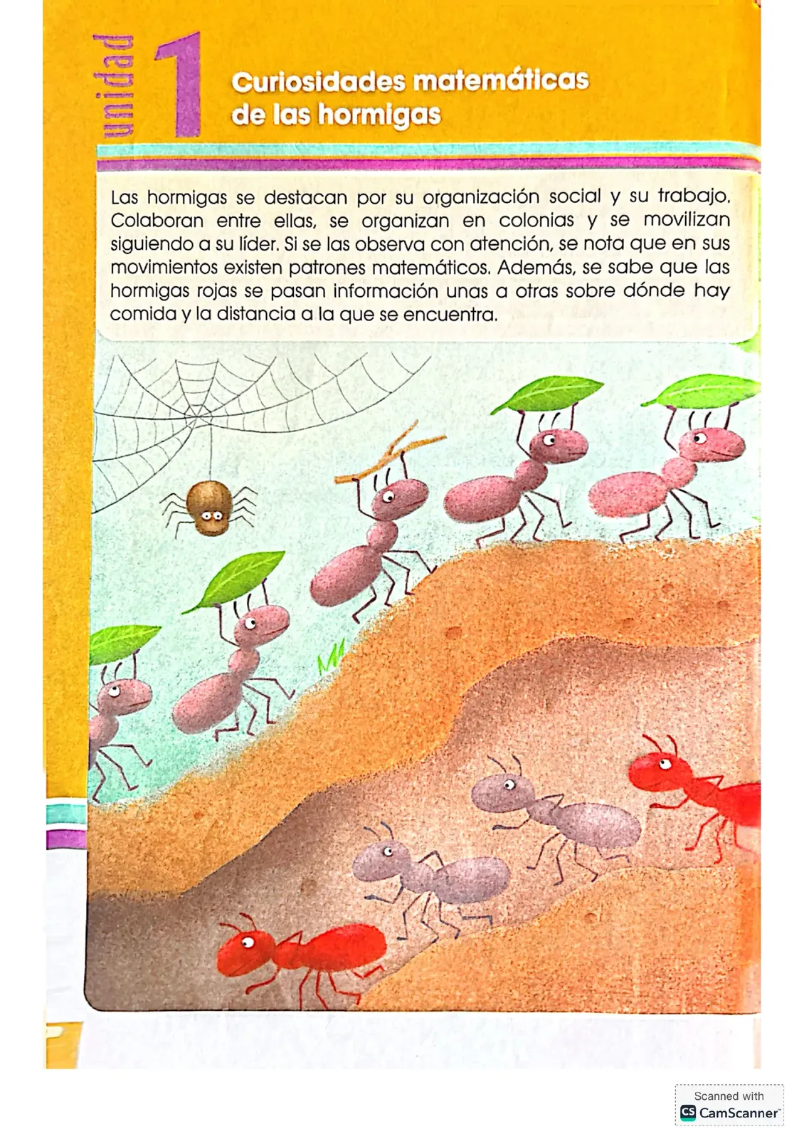 Pág 10