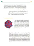 Miniatura página 273 de Colección Sk´asolil. Saberes y pensamiento científico.   Libro de Educación Telesecundaria Grado 2°  Ciclo Escolar 2025 - 2026