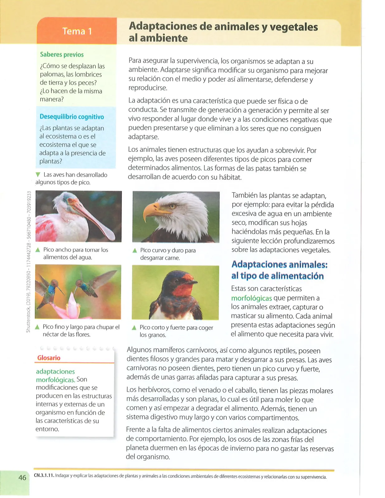 Miniatura página 45 de Ciencias Naturales · 7 EGB · 2024