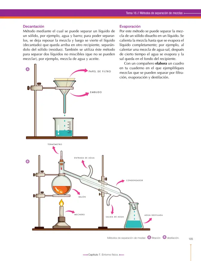 Página 105 de Ciencias Naturales 7° · Secundaria Activa