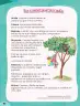 Miniatura página 98 de Cuadernillo de Comunicación 2. Segundo grado de Primaria · 2024