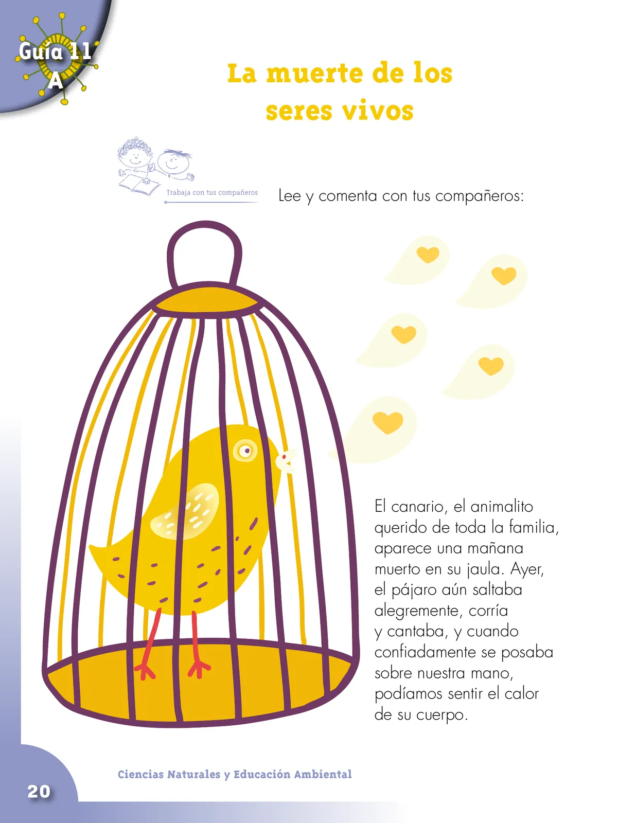 Pág 20