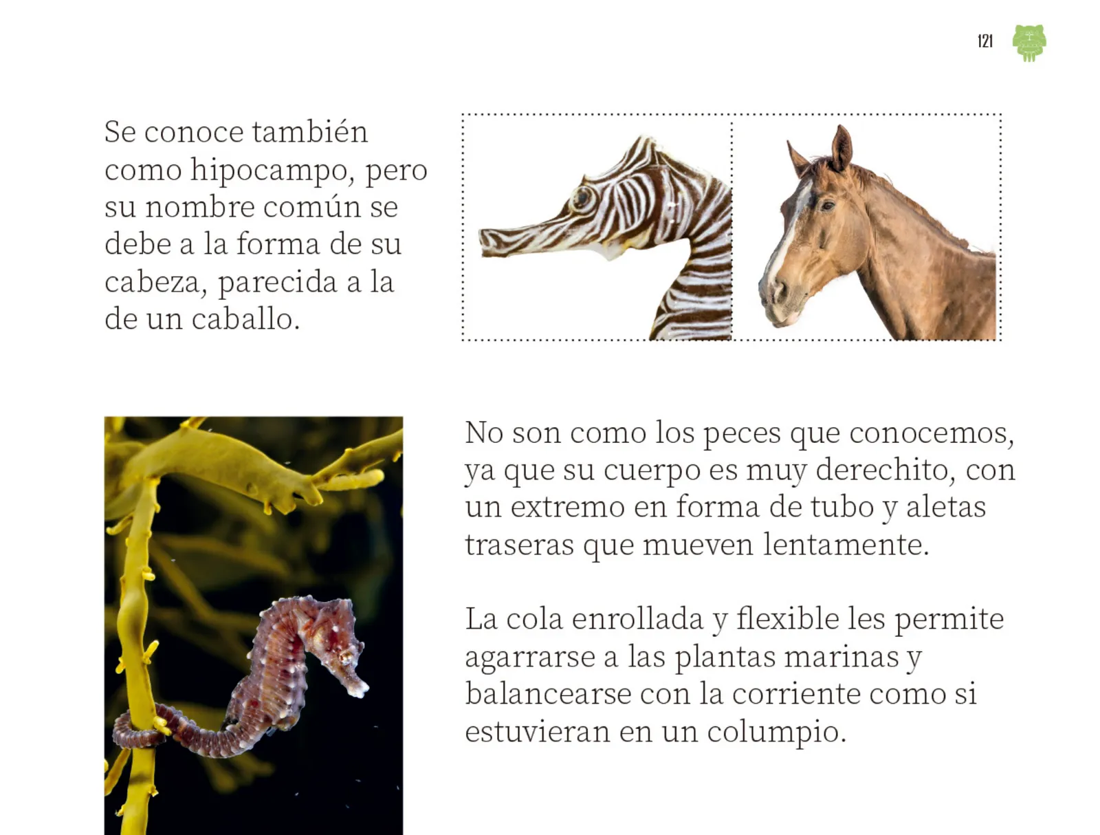 Miniatura página 122 de Múltiples lenguajes.   Libro de Educación Preescolar Grado 2°  Ciclo Escolar 2025 - 2026