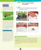 Miniatura página 97 de Ciencias Naturales – Segundo Básico | Texto del Estudiante MINEDUC – Descargar PDF · 2024