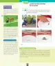 Miniatura página 97 de Ciencias Naturales – Segundo Básico | Texto del Estudiante MINEDUC – Descargar PDF · 2024