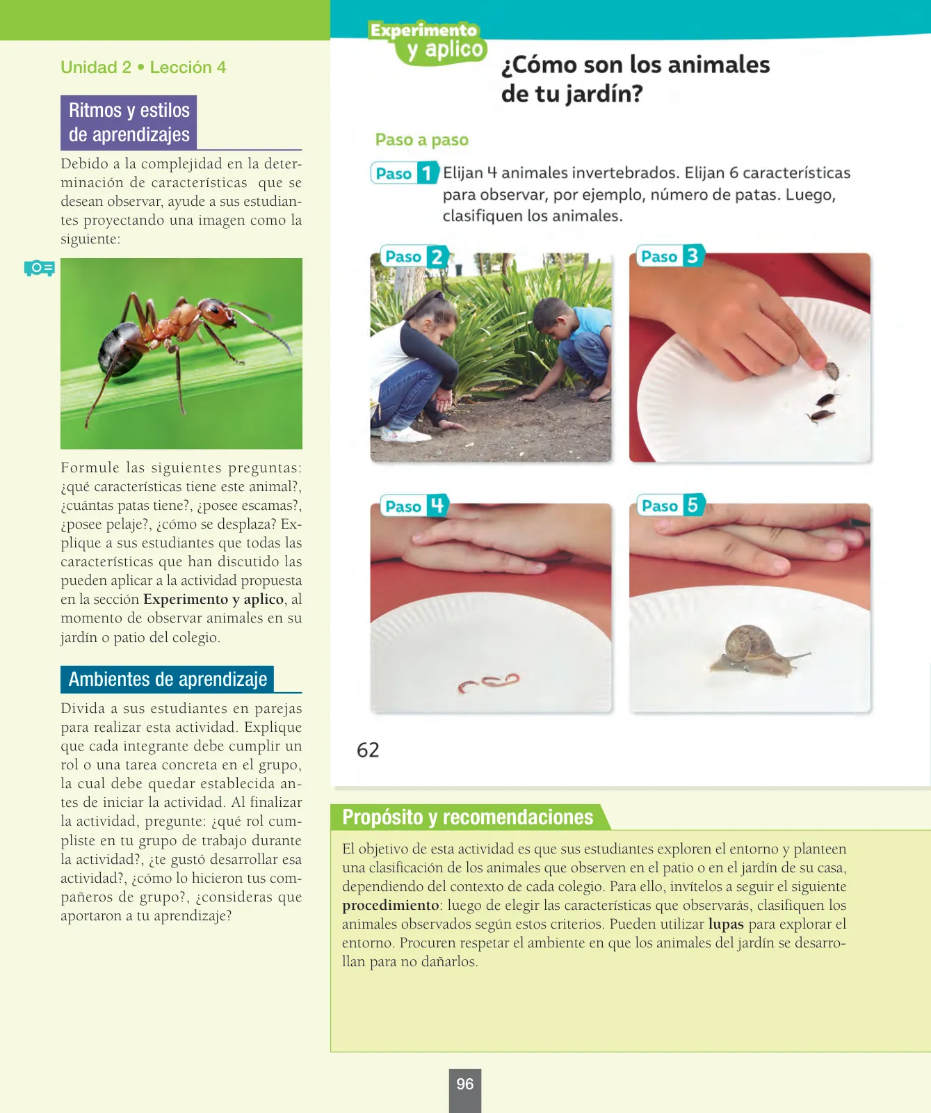 Miniatura página 97 de Ciencias Naturales – Segundo Básico | Texto del Estudiante MINEDUC – Descargar PDF · 2024