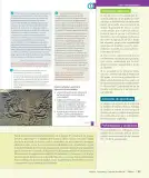 Miniatura página 62 de Historia, Geografía y Ciencias Sociales – Séptimo Básico | Texto del Estudiante MINEDUC – Descargar PDF · 2024