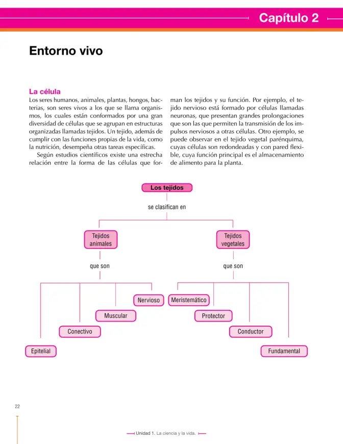 Página 22 de Ciencias Naturales 7° · Secundaria Activa