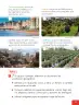 Miniatura página 23 de Historia, Geografía y Ciencias Sociales – Segundo Básico – Texto del Estudiante MINEDUC – Descargar PDF · 2024