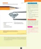 Miniatura página 116 de Ciencias Naturales – Octavo Básico | Texto del Estudiante MINEDUC – Descargar PDF · 2024
