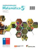 Miniatura página 292 de Matemática – Quinto Básico | Texto del Estudiante MINEDUC – Descargar PDF · 2024