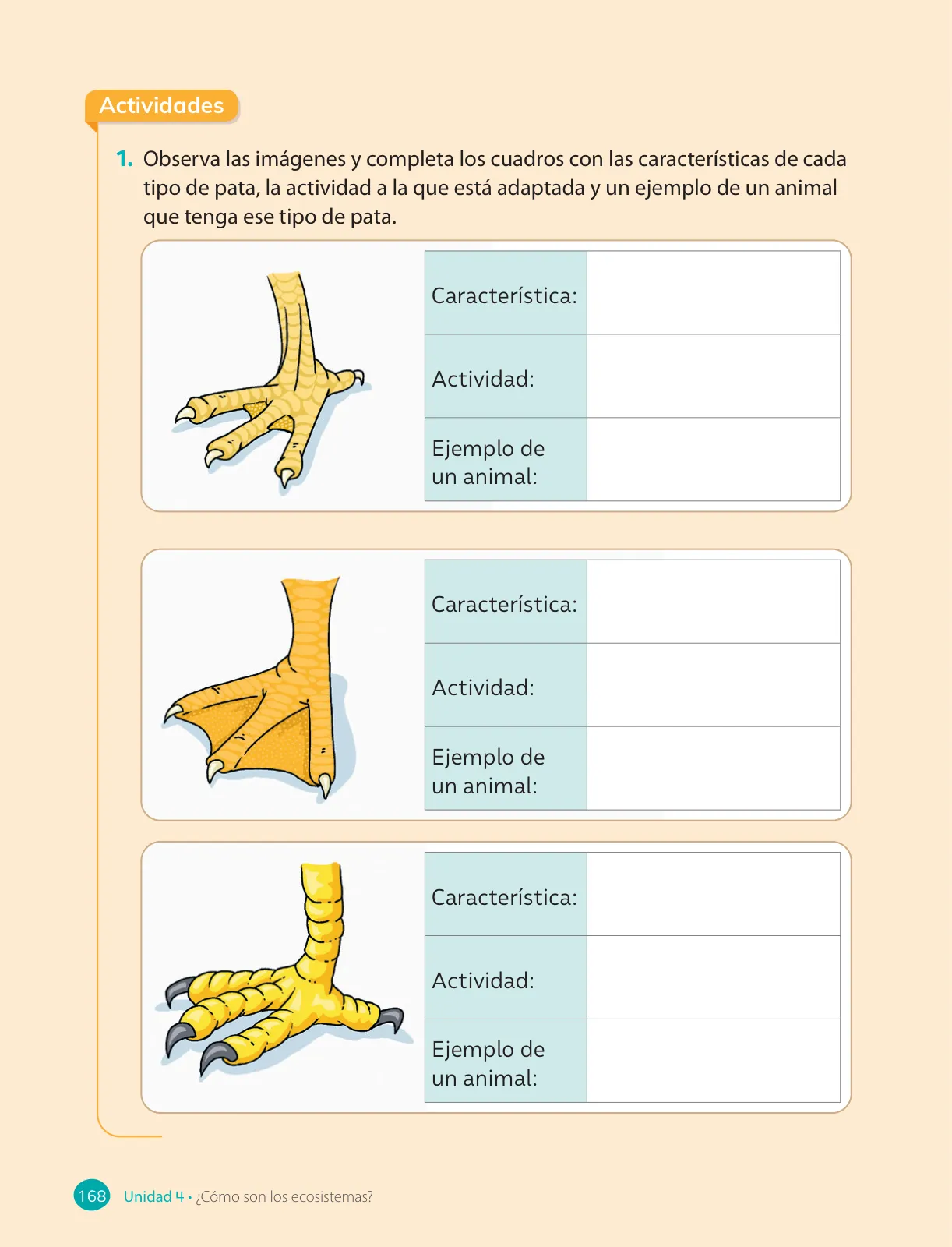 Miniatura página 170 de Ciencias Naturales – Cuarto Básico | Texto del Estudiante MINEDUC – Descargar PDF · 2024