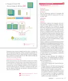 Miniatura página 19 de Sumo Primero – Segundo Básico | Texto del Estudiante MINEDUC – Descargar PDF · 2024