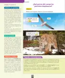 Miniatura página 137 de Ciencias Naturales – Primero Básico | Texto del Estudiante (MINEDUC) – Descargar PDF · 2024