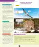 Miniatura página 137 de Ciencias Naturales – Primero Básico | Texto del Estudiante (MINEDUC) – Descargar PDF · 2024