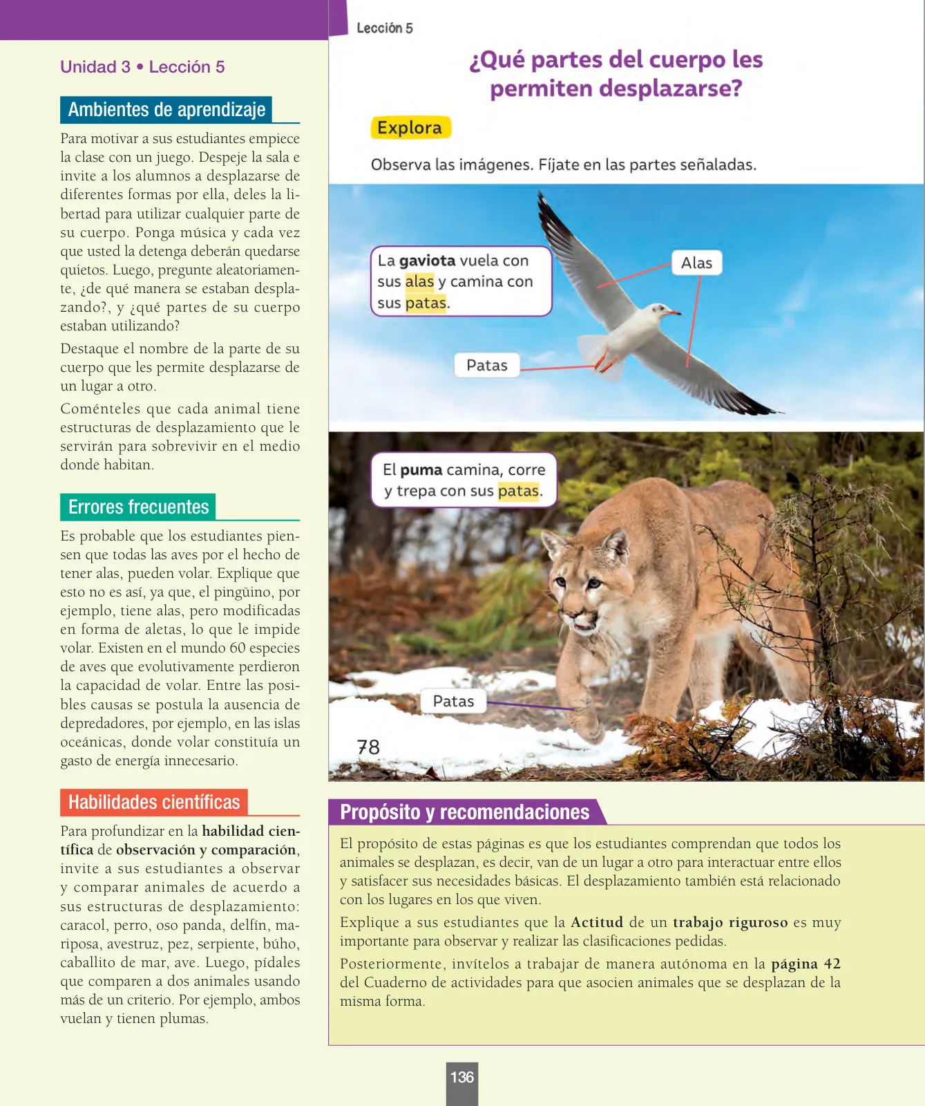 Miniatura página 137 de Ciencias Naturales – Primero Básico | Texto del Estudiante (MINEDUC) – Descargar PDF · 2024