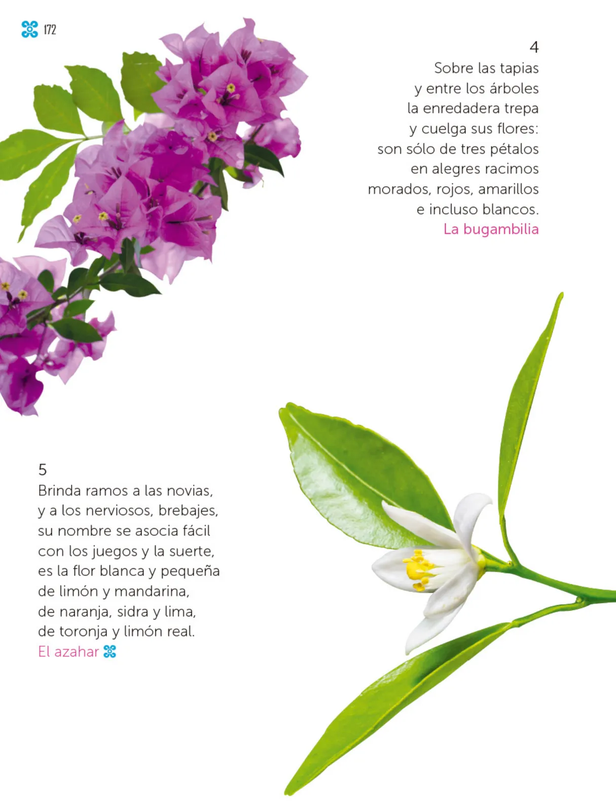 Página 173