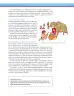 Miniatura página 97 de Ciencias Sociales 6° · Secundaria Activa