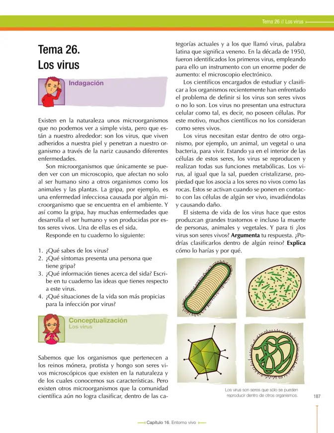 Página 191 de Ciencias Naturales 6° · Secundaria Activa