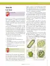 Miniatura página 191 de Ciencias Naturales 6° · Secundaria Activa