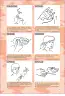 Miniatura página 165 de Lengua de señas peruana : guía para el aprendizaje de la lengua de señas peruana, vocabulario básico · 2015