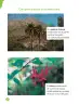 Miniatura página 90 de Ciencias Naturales – Primero Básico | Texto del Estudiante (MINEDUC) – Descargar PDF · 2024
