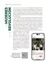 Miniatura página 245 de Historia del pueblo mexicano.  Libro de Educación Secundaria Grado 1°  Ciclo Escolar 2025 - 2026