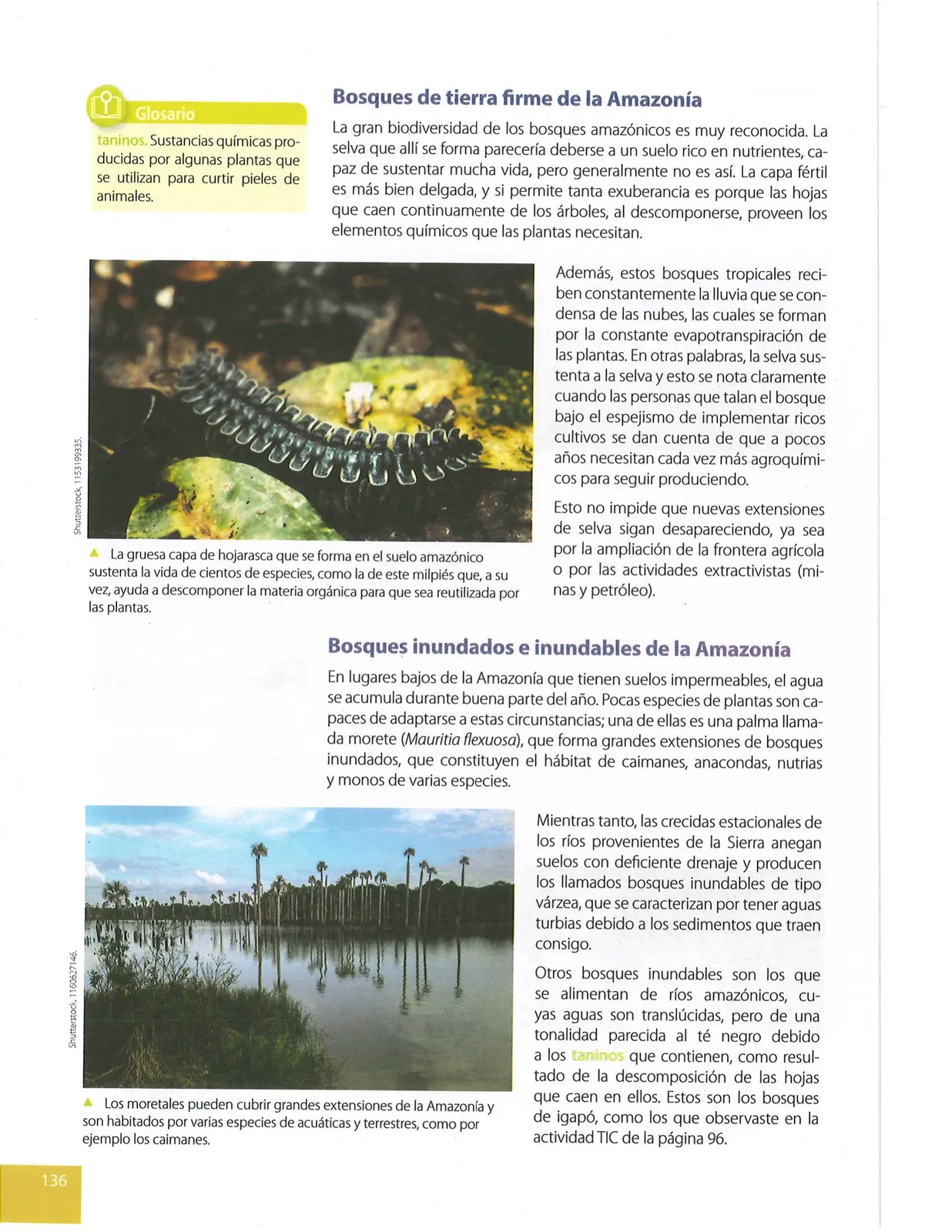 Miniatura página 137 de Ciencias Naturales · 9 EGB · 2024