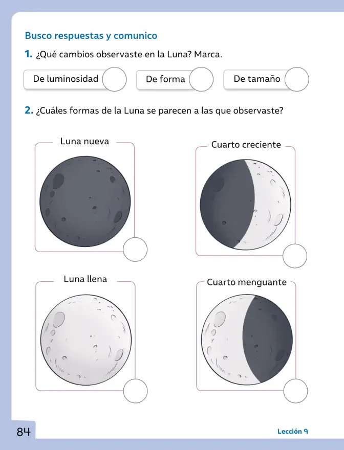 Página 85 de Ciencias Naturales – Primero Básico | Texto del Estudiante (MINEDUC) – Descargar PDF · 2024