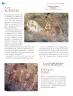 Miniatura página 41 de Nuestros saberes: México, grandeza y diversidad.   Libro de Educación Primaria Grado 4°  Ciclo Escolar 2025 - 2026