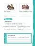 Miniatura página 83 de Lenguaje y Comunicación – Segundo Básico – Texto del Estudiante MINEDUC – Descargar PDF · 2024